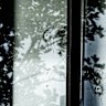 Bullet holes on the upper storey windown and balcony of the home