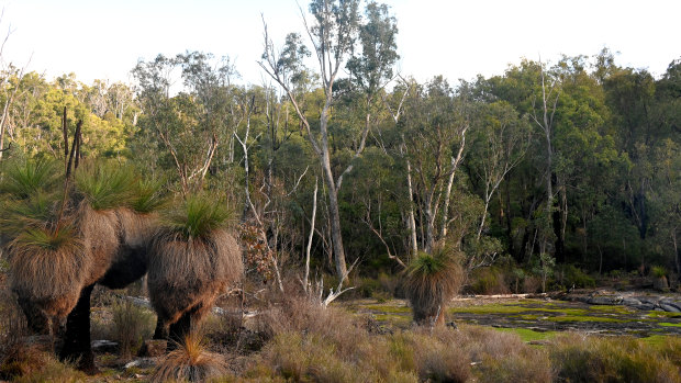 Alcoa vows to stay out of Dwellingup amid pressure on environmental record