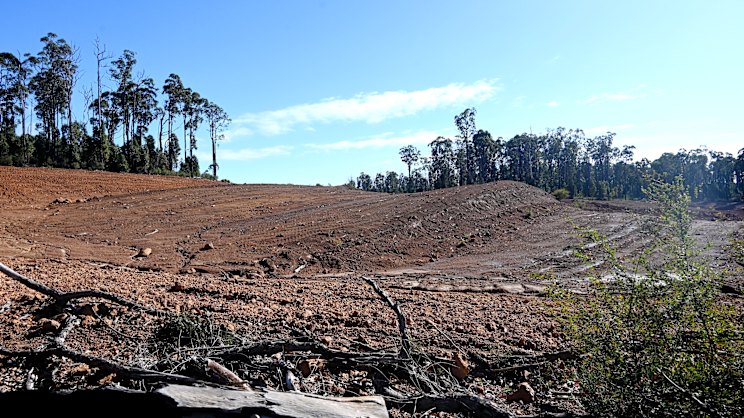 watoday.com.au - Cameron Myles - Alcoa faces more federal scrutiny over Willowdale mine clearing