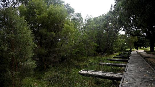 Up until the last decade you could launch a boat on Loch McNess but now the water has receded 10 metres from these jetties.