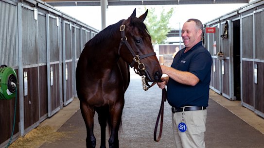 Winx’s filly is led by Paddy Sheehan.