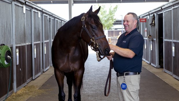 Secret vets, private security and a US tycoon on the end of the phone: Inside filly’s $10m sale