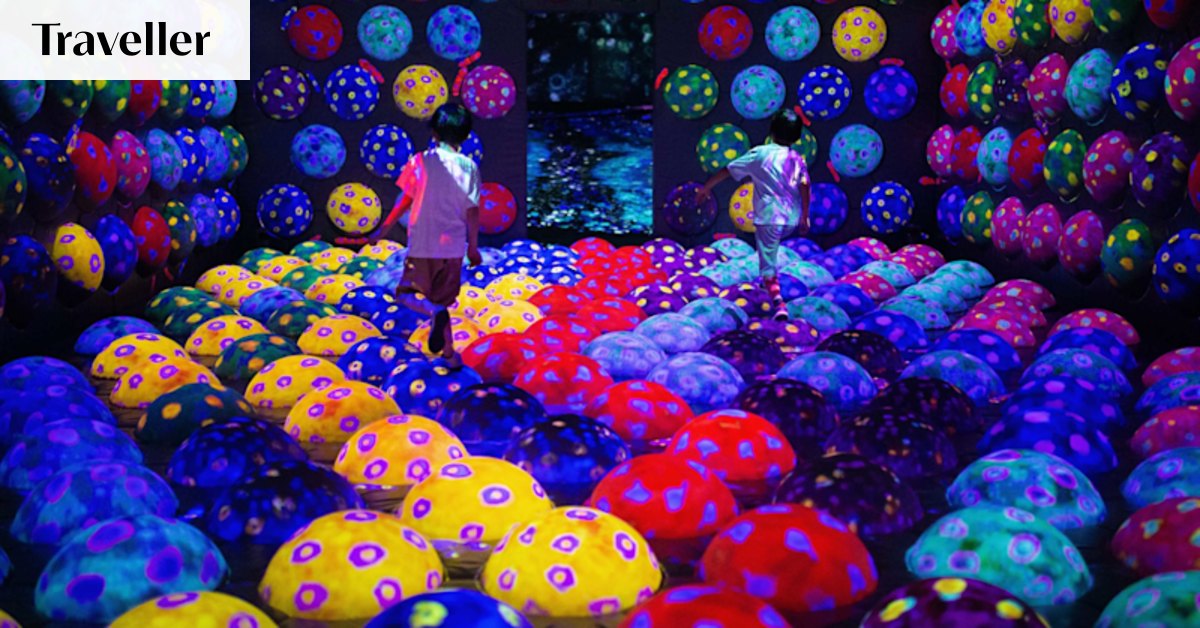 A museum where staring at your phone is the point? We’ve lost the plot