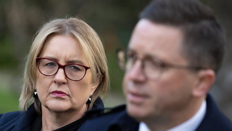 Allan government rejects former police chief’s call to cap gun ownership