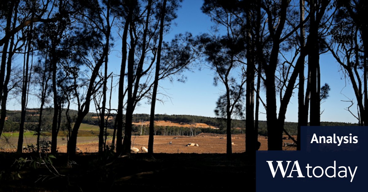 Nothing more than weasel words in Alcoa's response to serious concerns - Vimarsana News