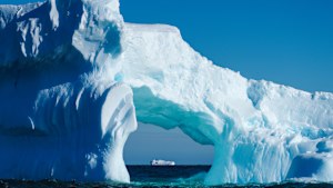 Icebergs surround the Falkor.
