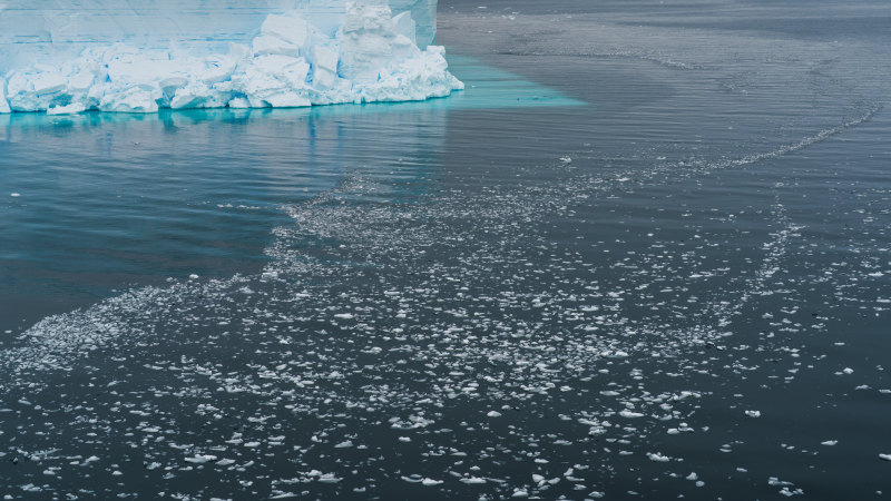 A huge iceberg broke off Antarctica. What scientists found under it stunned them