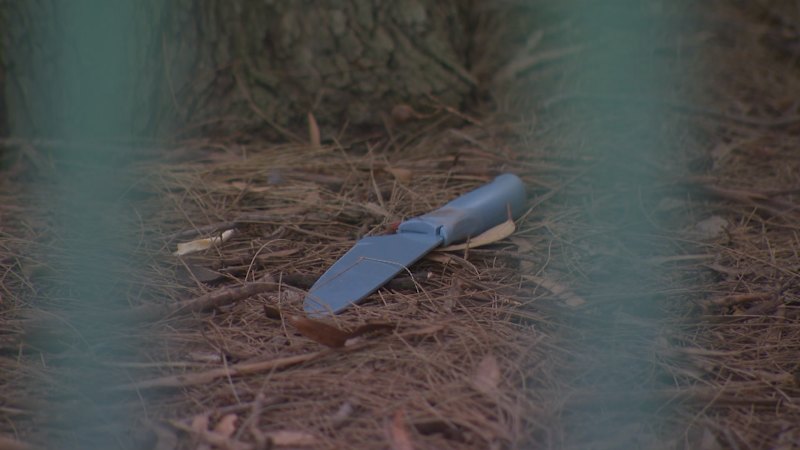 Girl stabbed six times during youth brawl sparked by online feud