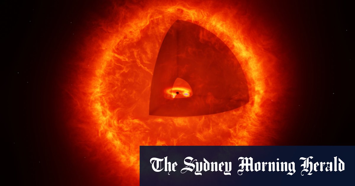 ‘What the heck is that?’ Astronomers discover strange new black-hole stars