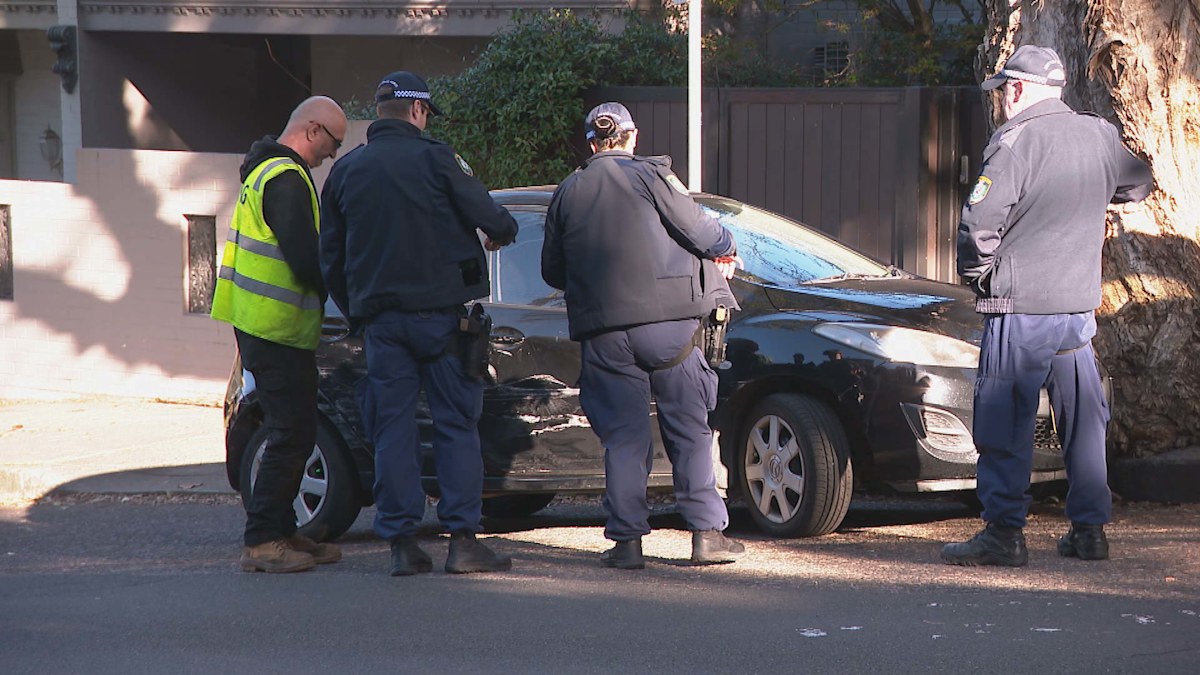 Police officer hurt after chase in leafy suburb