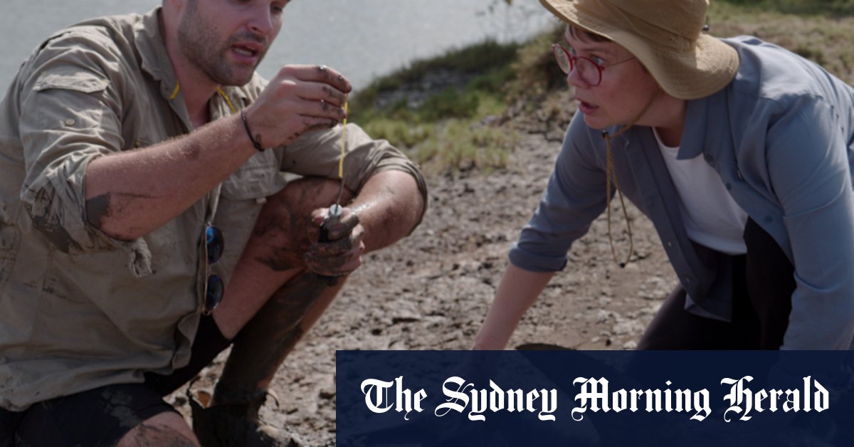 ‘Oh my god, let it go!’: The ABC show getting (almost) too close to dangerous animals