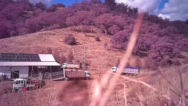 The footage has led to an investigation by Racing NSW.