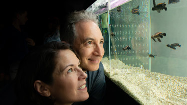 World Science Festival Brian Green and co-founder Tracy Day inspect the baby turtles.