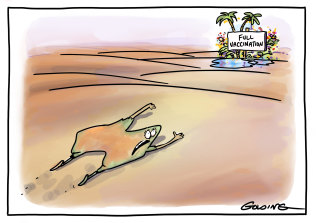 Illustration: Matt Golding.