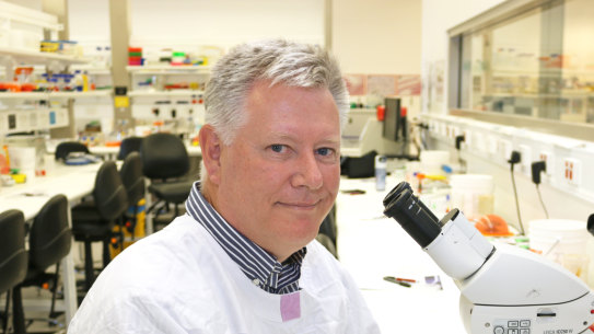 Professor Mark Smyth, the former head of immunology in cancer at the QIMR Berghofer Medical Research Institute.