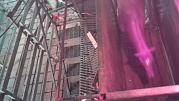 Footage obtained of a racehorse at Kankool Pet Foods in Willow Tree, NSW.