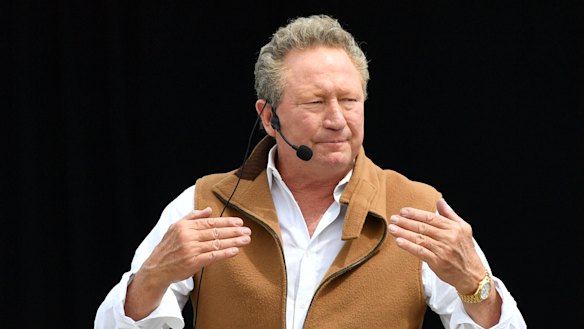 Fortescue founder Andrew “Twiggy Forrest’s privately owned Wyloo Metals has upped its bid to acquire a Canadian nickel miner.