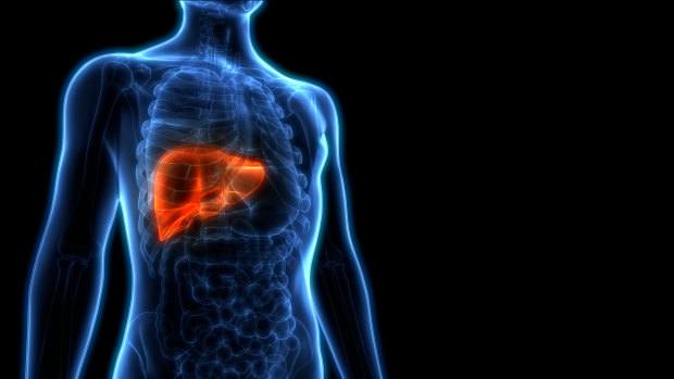 Liver disease rates are on the rise in Queensland.
