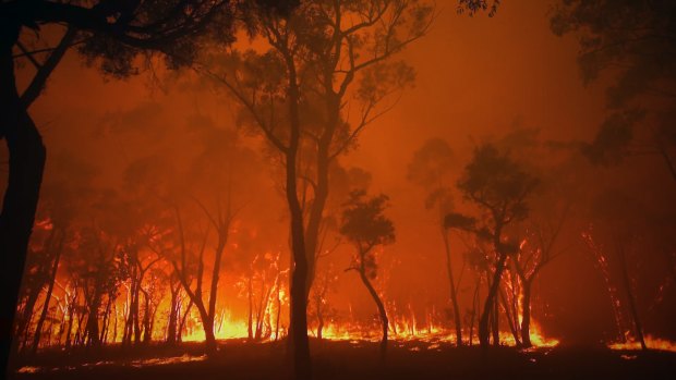 Australia has had consecutive years of catastrophic weather events including the 2019 NSW bushfires.
