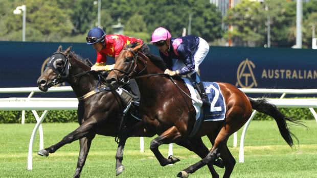 Artorius (inside) took part in an exhibition at Randwick on Saturday.