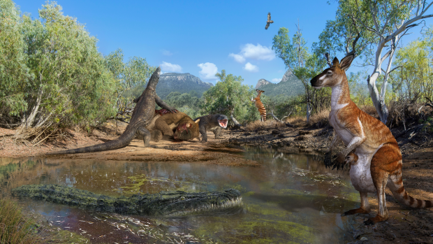 An artist's impression of several of the species whose fossils were discovered at the South Walker Creek site, including giant kangaroos, lizards and crocodiles.