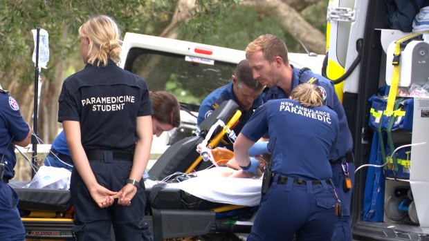 Boy rushed to hospital after being kicked by horse in Centennial Park