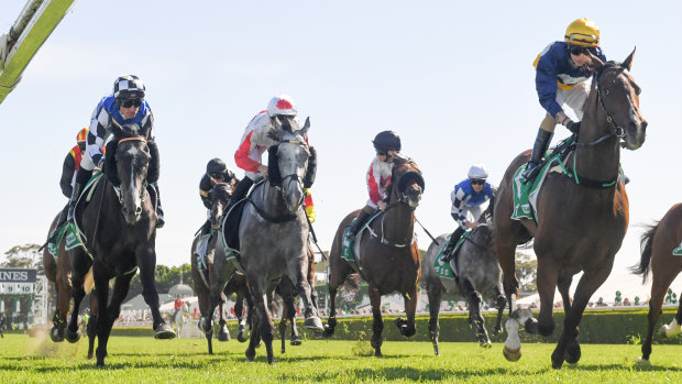 Glen Boss, in the checked cap, looks across to the winner, Master Of Wine, in the concluding stages of the Tattersals Cup at Randwick.