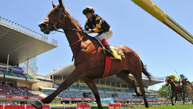 Trainer David Jolly's Behemoth will be looking to enhance his claims for the $7 million Golden Eagle on Saturday.