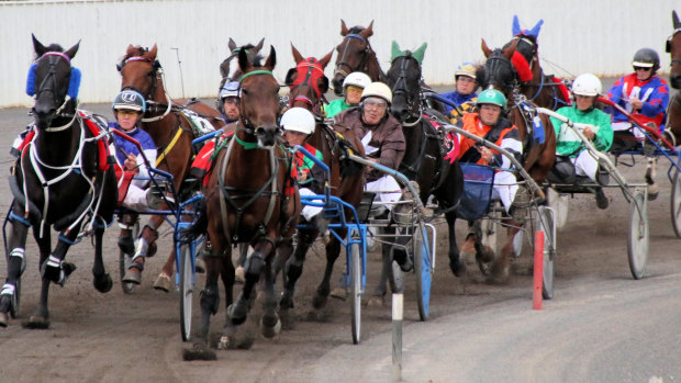 Setting the pace: Tamworth is set to host more harness racing meetings next year.