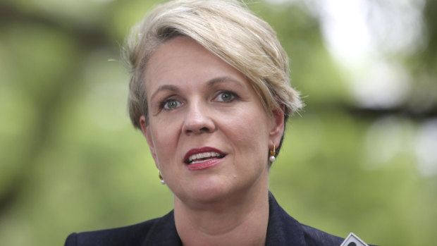 Deputy Labor leader Tanya Plibersek released a new plan for women's reproductive health on Wednesday.