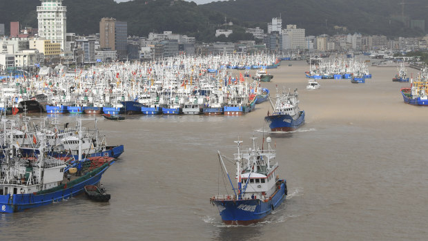 Fishing boats are docked at the Shenjiamen Fishing Port in Zhoushan city, China, in preparation for the typhoon Lekima.