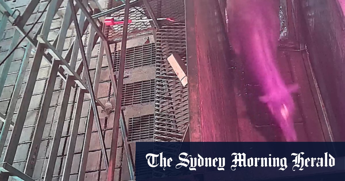 Racing NSW launches investigation after race horses continue to be slaughtered