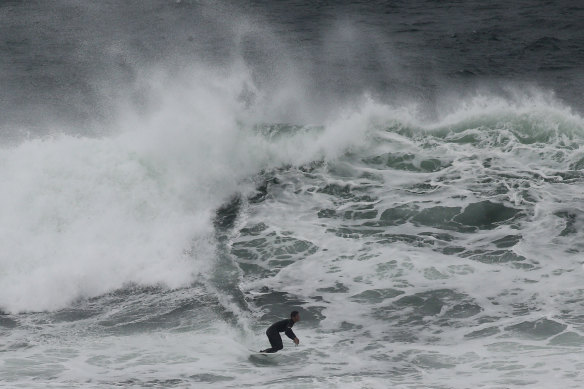 A surfer takes to big swell at Bronte Beach.