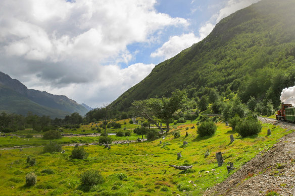 Steaming through the Tierra del Fuego National Park, Ushuaia.