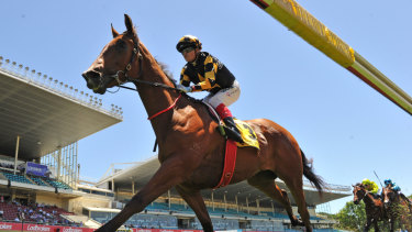 Behemoth Has Grand Dreams Of Golden Eagle Success