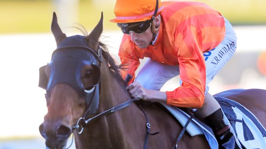 Blinkers-less Dreamforce ready to fulfil group 1 potential 