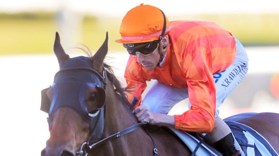 Nash Rawiller and Dreamforce will look for a third consecutive Tramway Stakes at Randwick on Saturday.
