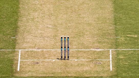 Generic MCG pitch image 