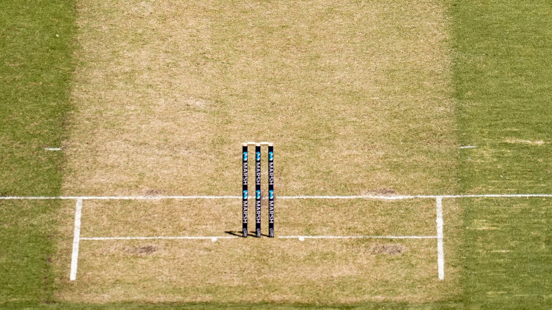 Mcc Chief Increasingly Optimistic About Boxing Day Test