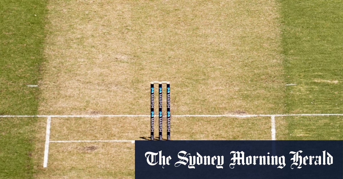 Mcc Chief Increasingly Optimistic About Boxing Day Test
