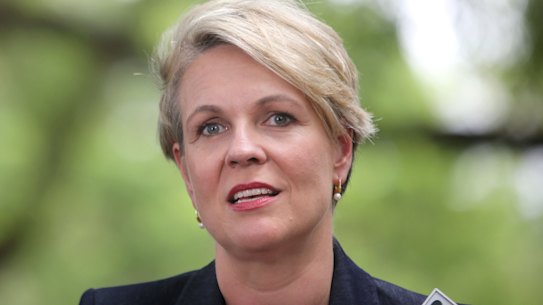 Deputy Labor leader Tanya Plibersek released a new plan for women's reproductive health on Wednesday.