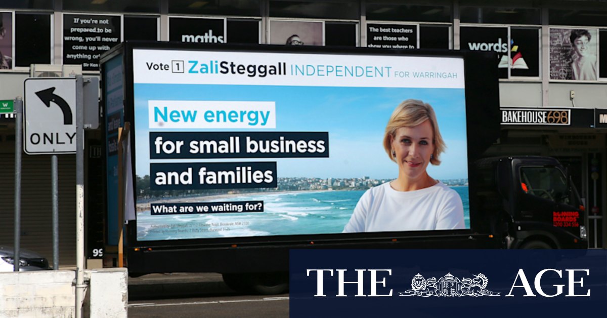 A Warringah mystery: who's behind anonymous campaign targeting Zali Steggall? - Vimarsana News