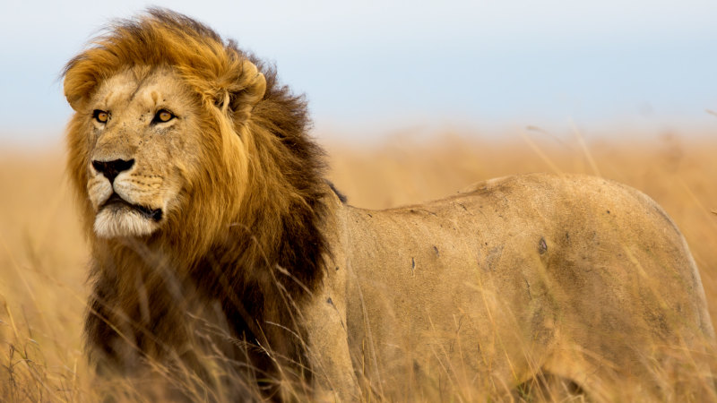 This grammatical puzzle is enough to give you a headache