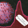 Index composite for story on human metapneumovirus