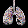 Small microplastics are understudied but can reach deep into our lungs, sparking health concerns among scientists.