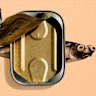 Sardines: from poor man’s food to wondrous superfood.