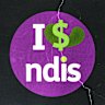 The $50 billion NDIS has attracted wealth Australians who are investing in for profit providers.  