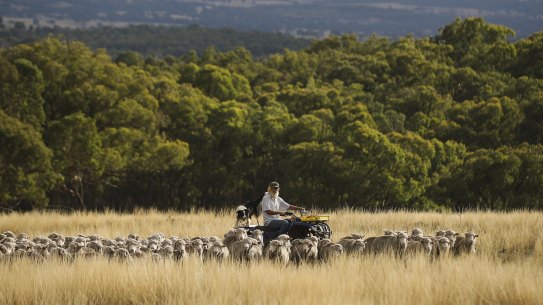 Farmers are warning that the federal government’s climate policy could have adverse impacts on agricultural production.