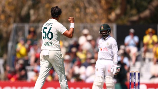 Mitchell Starc celebrates a wicket.