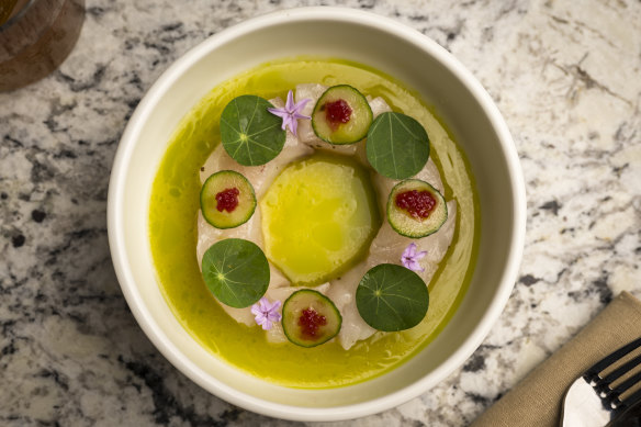 An elegant ring of blue-eye ceviche.